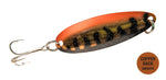 C5 CWC - Chicken Wing Copper - Northern King